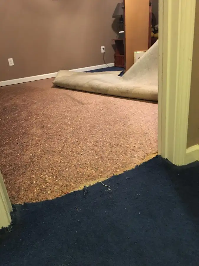 Carpet pad removal revealing water damage during Water Mitigation Services in Hilton