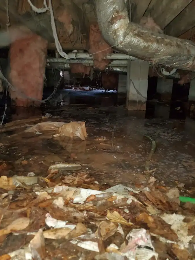 Crawl space flood assessment for Commercial Water Damage Restoration in Hilton