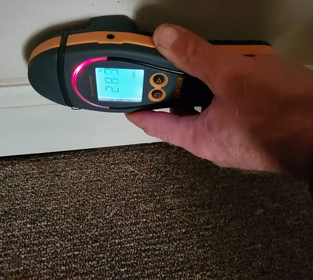 Moisture detection at baseboard during Sewage Cleanup & Sanitation in Hilton